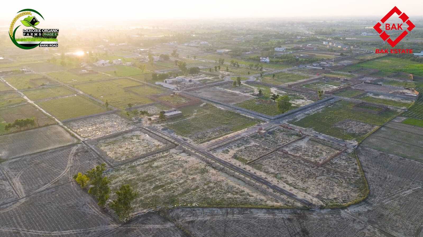 Lahore Organic Farms Phase 1 - gallery image