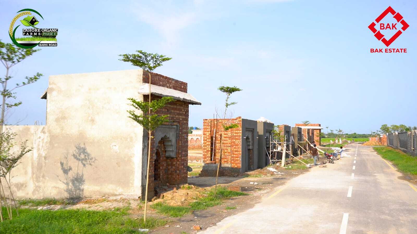 Lahore Organic Farms Phase 1 - gallery image