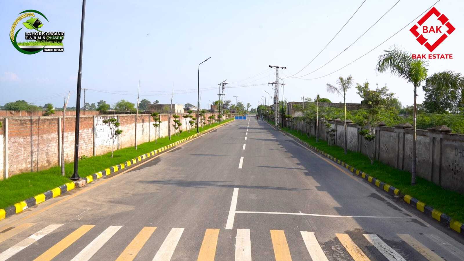 Lahore Organic Farms Phase 1 - gallery image